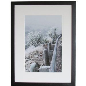 NWT Framed Limited Edition Photography - West Texas Frozen Fog